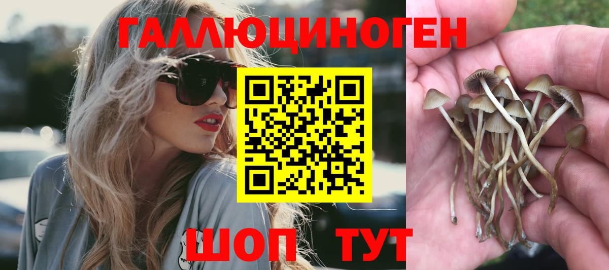 Псилоцибиновые грибы GOLDEN TEACHER Краснокаменск